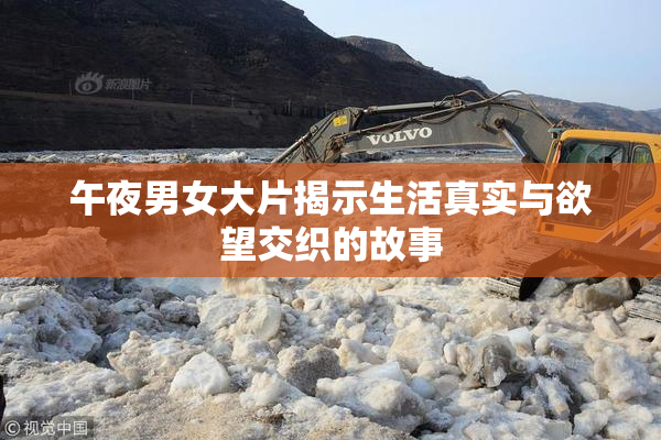午夜男女大片揭示生活真实与欲望交织的故事