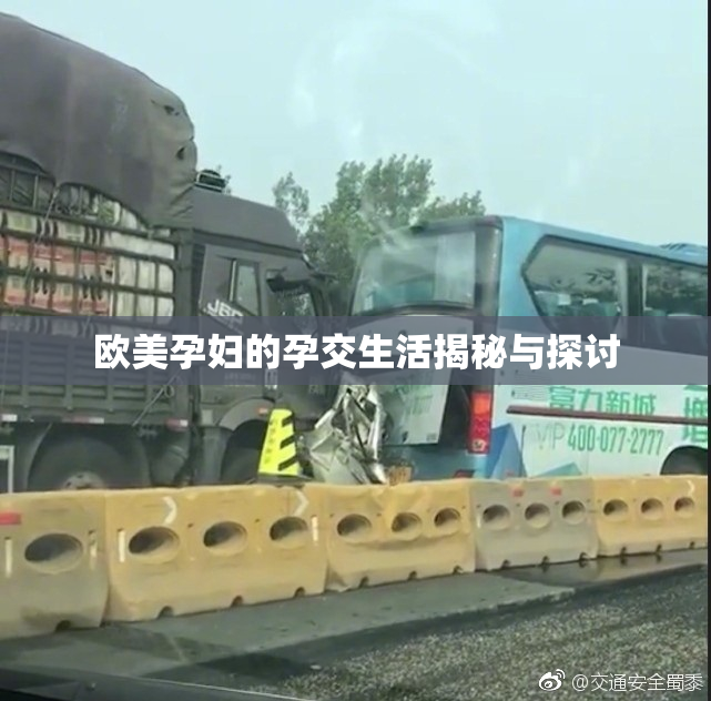 欧美孕妇的孕交生活揭秘与探讨