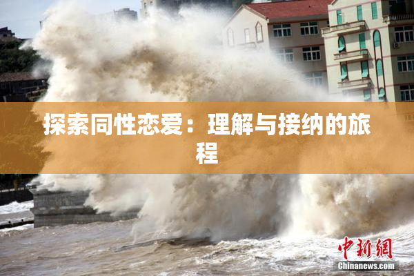 探索同性恋爱：理解与接纳的旅程