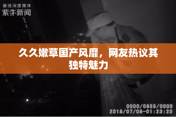久久嫩草国产风靡，网友热议其独特魅力