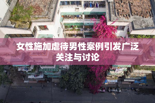 女性施加虐待男性案例引发广泛关注与讨论
