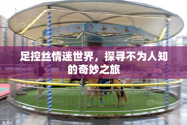 足控丝情迷世界，探寻不为人知的奇妙之旅