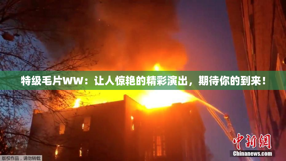 特级毛片WW：让人惊艳的精彩演出，期待你的到来！