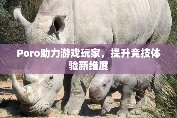 Poro助力游戏玩家，提升竞技体验新维度