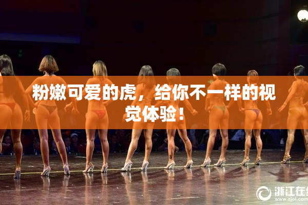粉嫩可爱的虎，给你不一样的视觉体验！