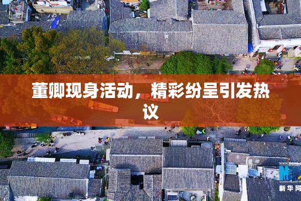 董卿现身活动，精彩纷呈引发热议