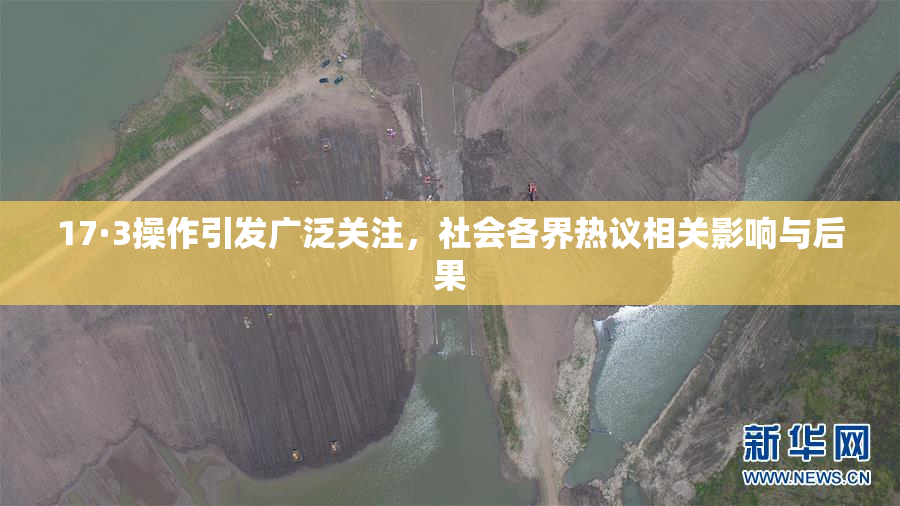17·3操作引发广泛关注，社会各界热议相关影响与后果