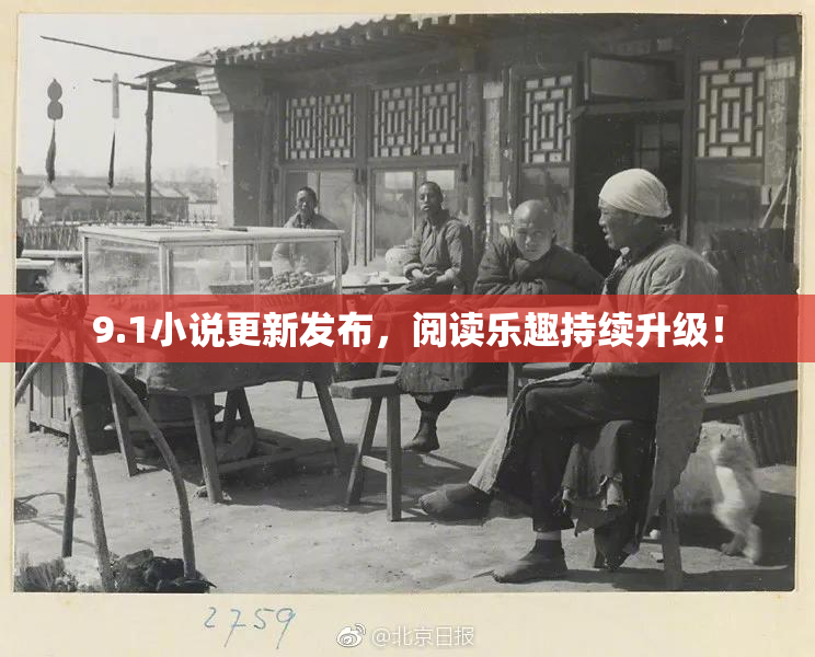 9.1小说更新发布，阅读乐趣持续升级！