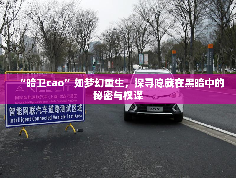 “暗卫cao”如梦幻重生，探寻隐藏在黑暗中的秘密与权谋