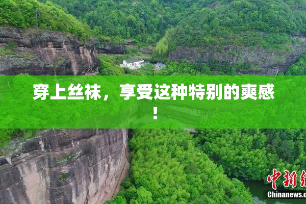 穿上丝袜，享受这种特别的爽感！