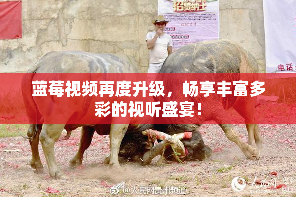 蓝莓视频再度升级，畅享丰富多彩的视听盛宴！