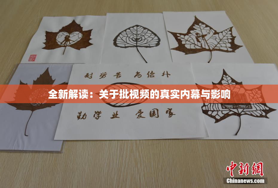 全新解读：关于批视频的真实内幕与影响