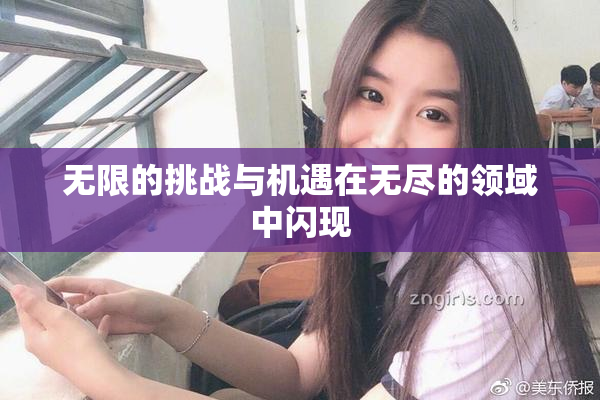 无限的挑战与机遇在无尽的领域中闪现