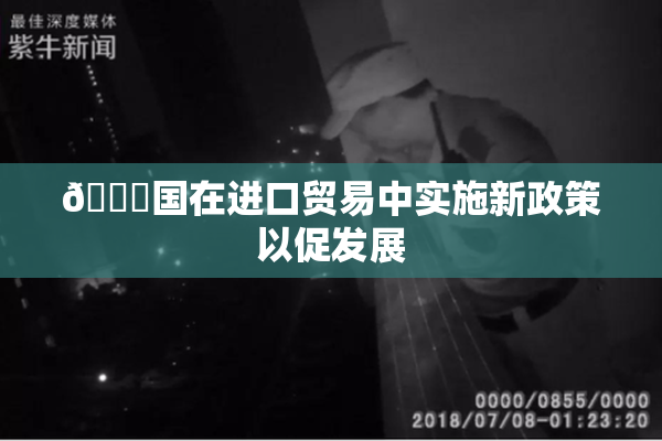 🔞国在进口贸易中实施新政策以促发展
