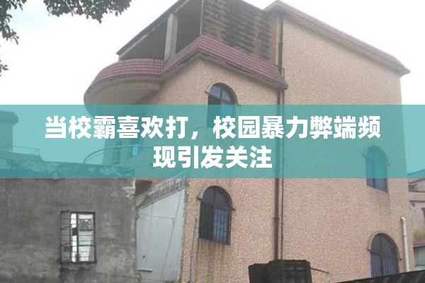当校霸喜欢打，校园暴力弊端频现引发关注