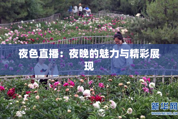 夜色直播：夜晚的魅力与精彩展现