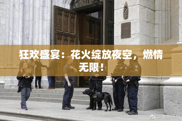 狂欢盛宴：花火绽放夜空，燃情无限！