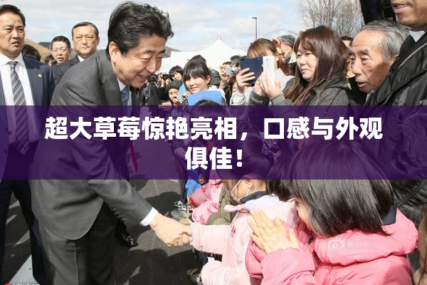 超大草莓惊艳亮相，口感与外观俱佳！