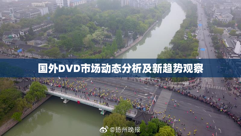 国外DVD市场动态分析及新趋势观察