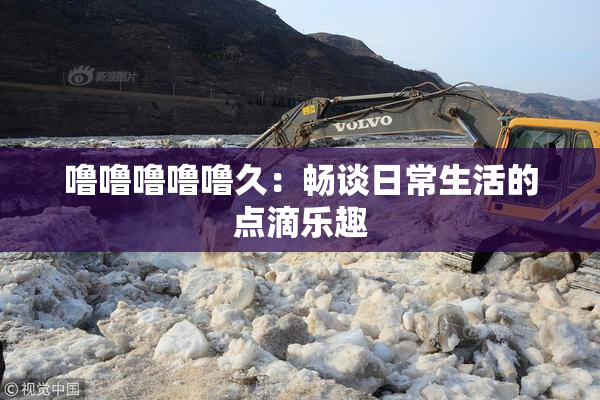 噜噜噜噜噜久：畅谈日常生活的点滴乐趣