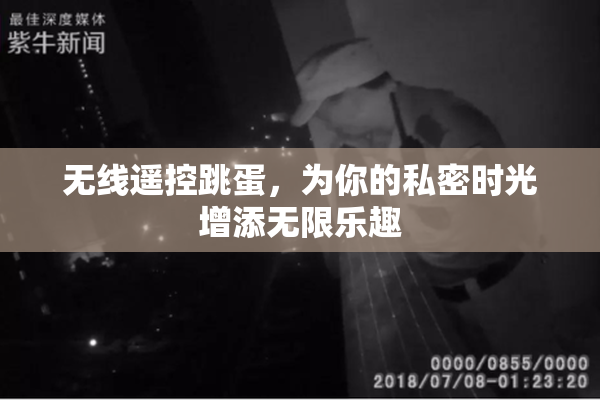 无线遥控跳蛋，为你的私密时光增添无限乐趣