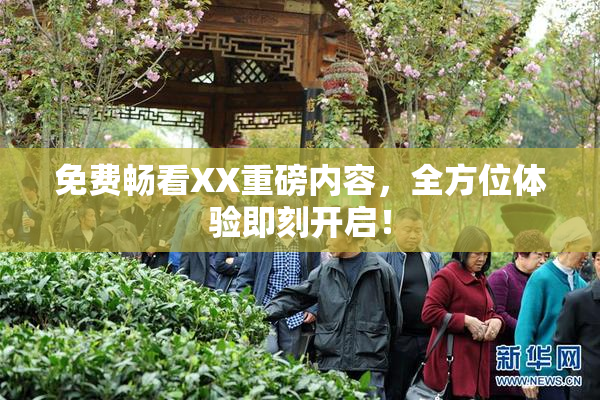 免费畅看XX重磅内容，全方位体验即刻开启！