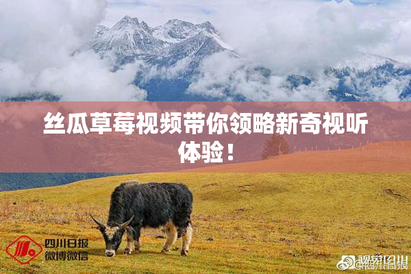丝瓜草莓视频带你领略新奇视听体验！