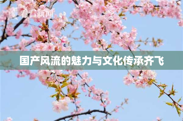 国产风流的魅力与文化传承齐飞