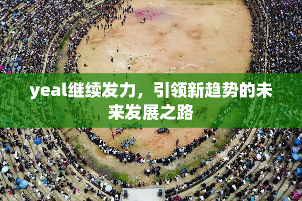yeal继续发力，引领新趋势的未来发展之路