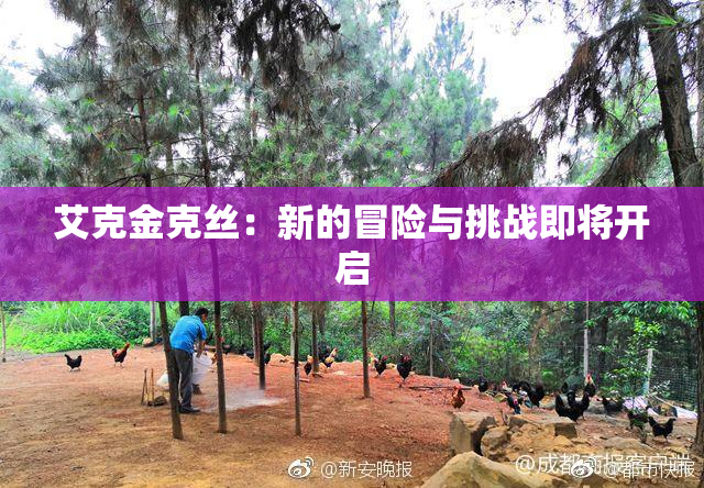 艾克金克丝：新的冒险与挑战即将开启