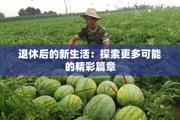 退休后的新生活：探索更多可能的精彩篇章