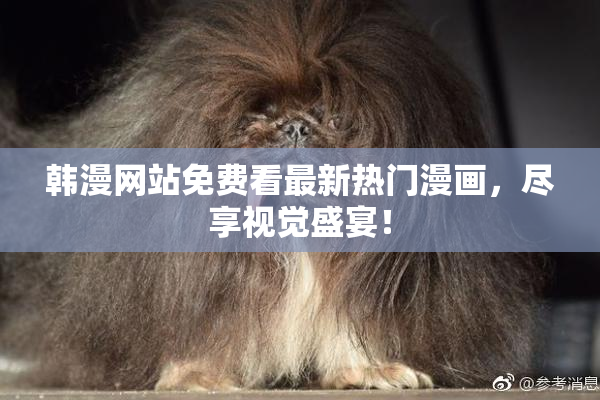 韩漫网站免费看最新热门漫画，尽享视觉盛宴！