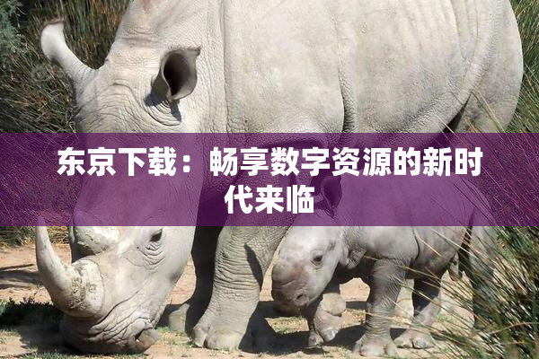 东京下载：畅享数字资源的新时代来临