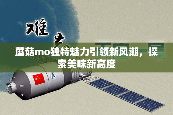 蘑菇mo独特魅力引领新风潮，探索美味新高度