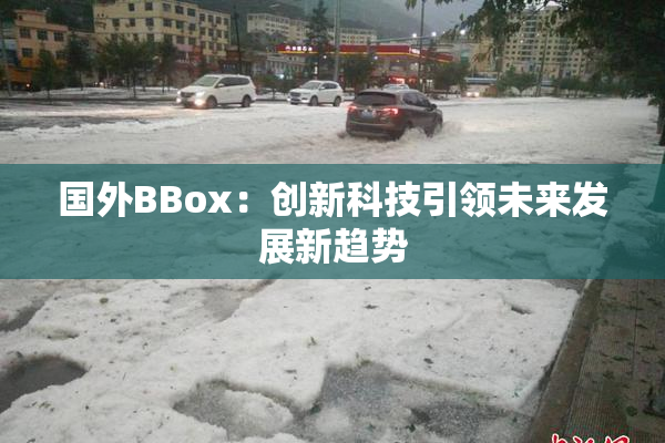国外BBox：创新科技引领未来发展新趋势