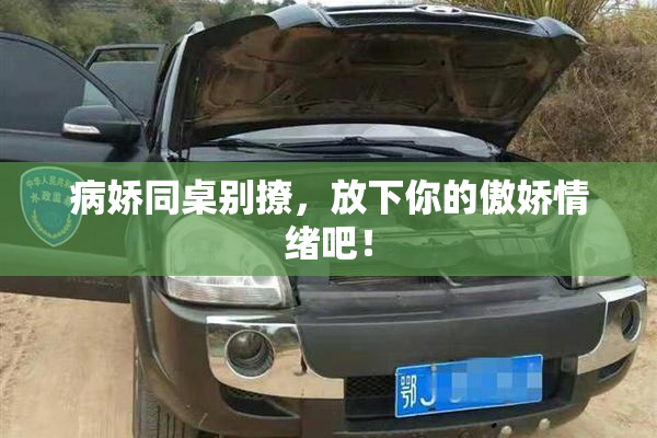 病娇同桌别撩，放下你的傲娇情绪吧！