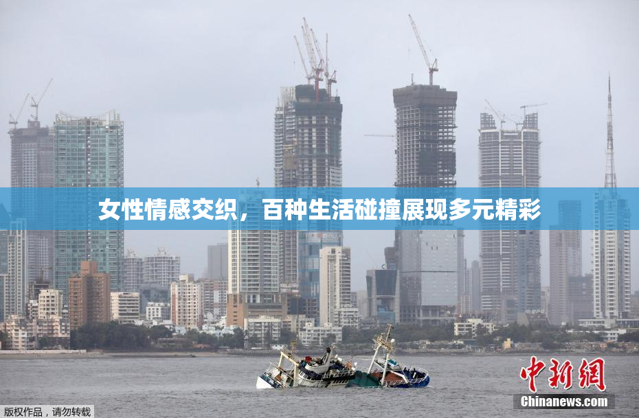 女性情感交织，百种生活碰撞展现多元精彩