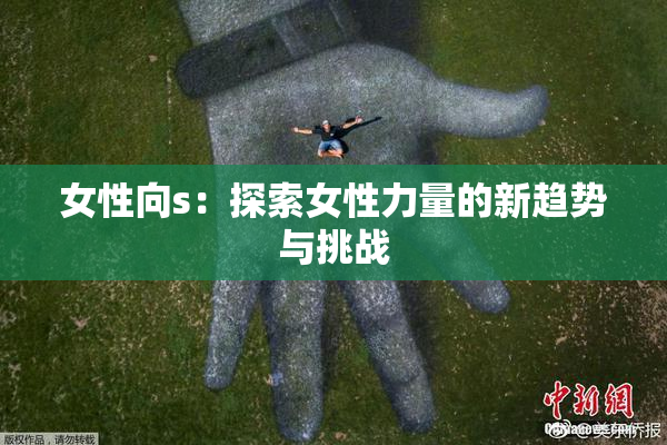 女性向s：探索女性力量的新趋势与挑战