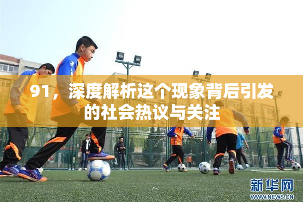 91，深度解析这个现象背后引发的社会热议与关注