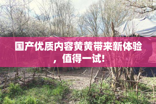 国产优质内容黄黄带来新体验，值得一试!