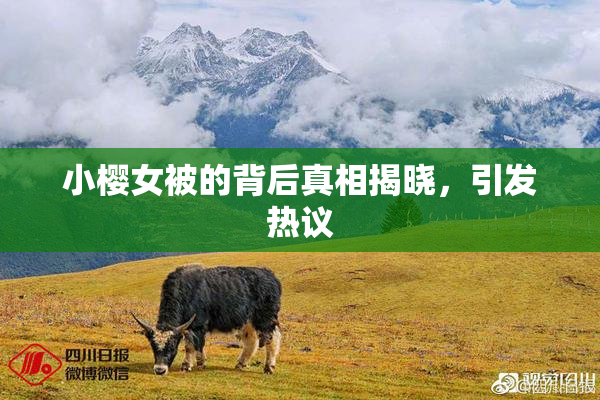 小樱女被的背后真相揭晓，引发热议