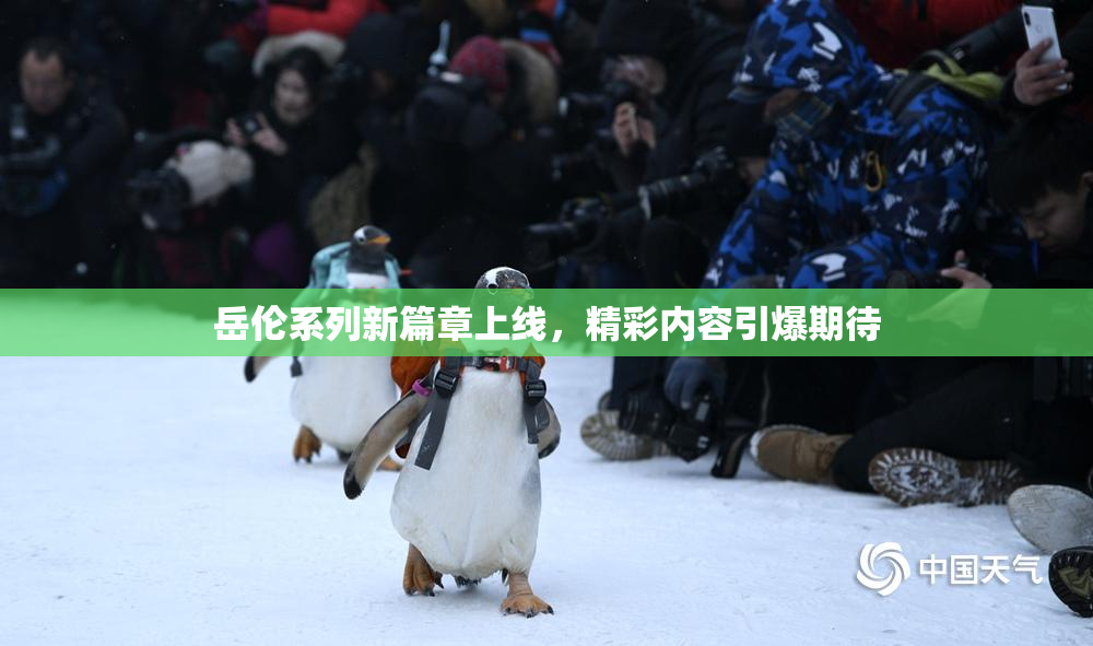 岳伦系列新篇章上线，精彩内容引爆期待