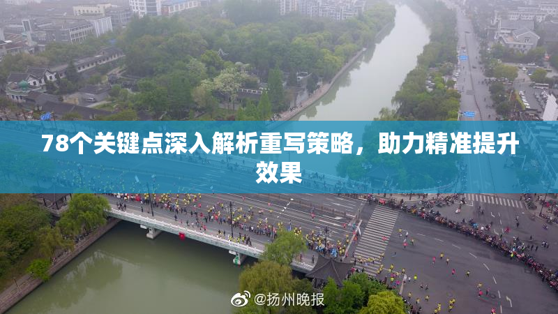 78个关键点深入解析重写策略，助力精准提升效果
