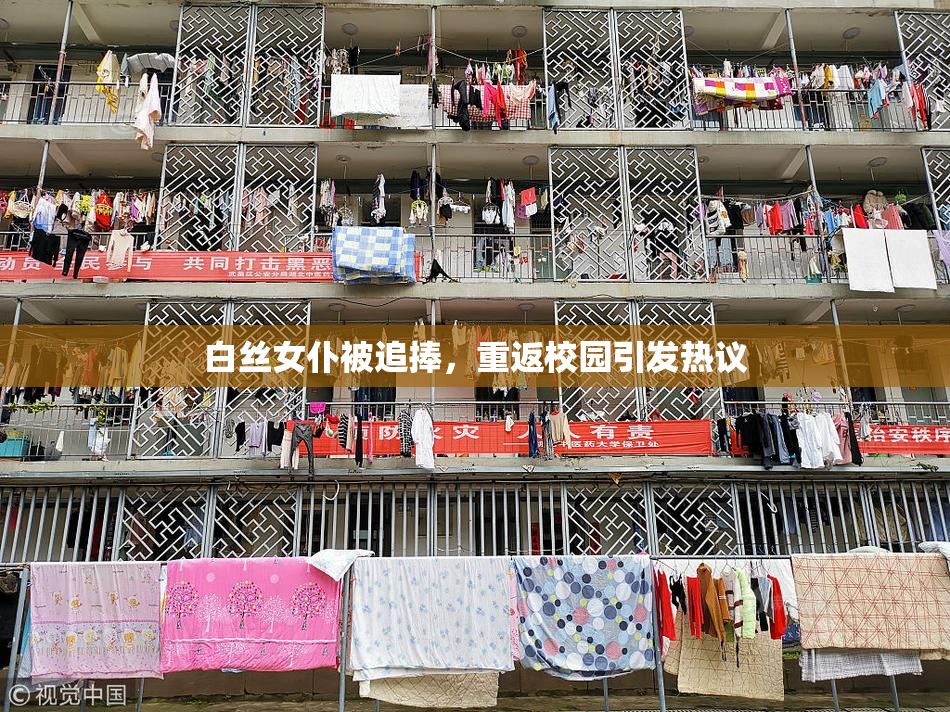 白丝女仆被追捧，重返校园引发热议