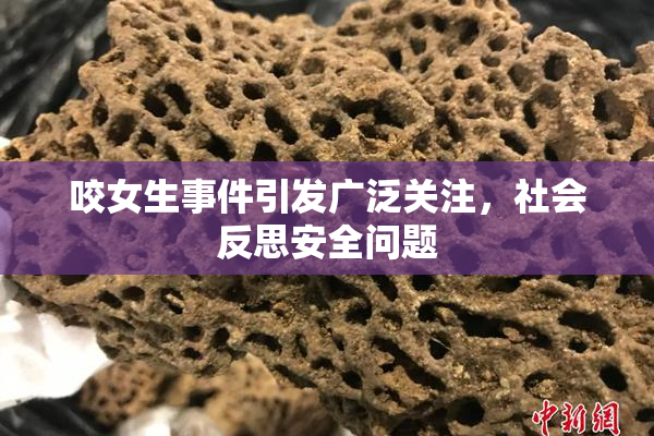 咬女生事件引发广泛关注，社会反思安全问题