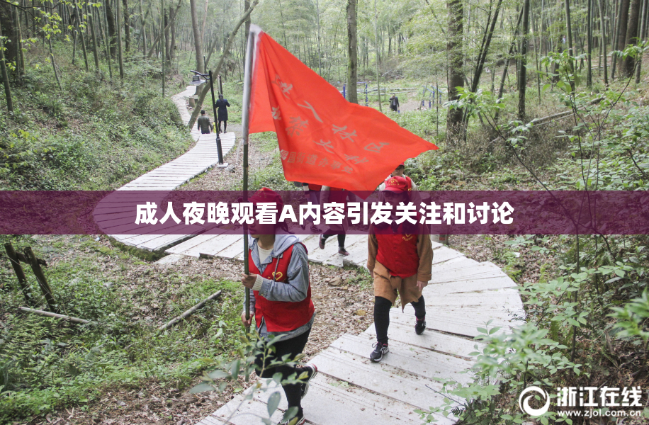 成人夜晚观看A内容引发关注和讨论