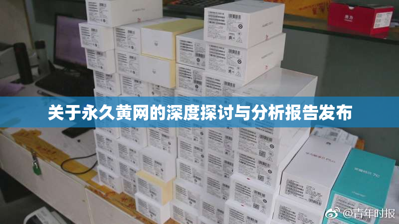 关于永久黄网的深度探讨与分析报告发布