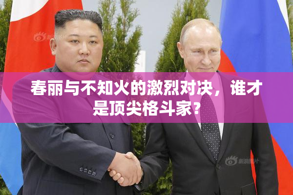 春丽与不知火的激烈对决，谁才是顶尖格斗家？