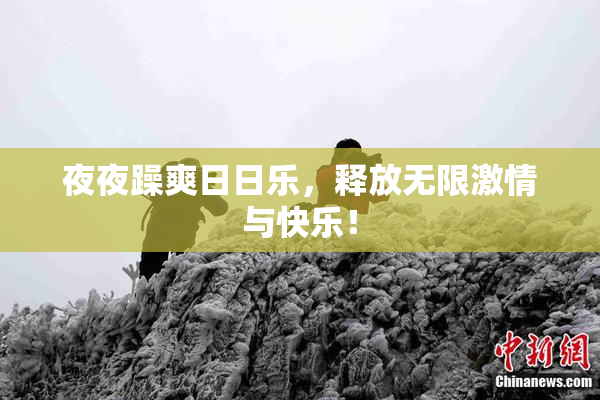 夜夜躁爽日日乐，释放无限激情与快乐！