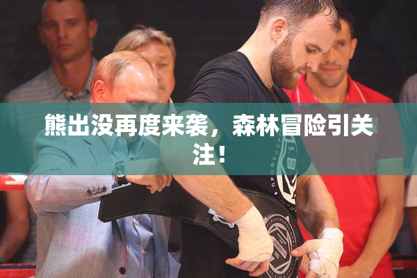 熊出没再度来袭，森林冒险引关注！